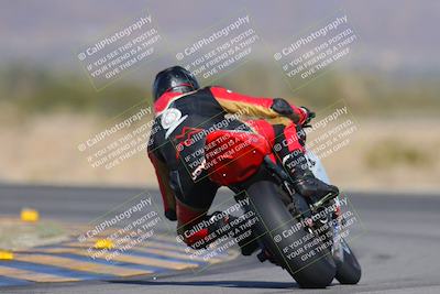 media/Dec-09-2023-SoCal Trackdays (Sat) [[76a8ac2686]]/Turn 14 Backside (1050am)/